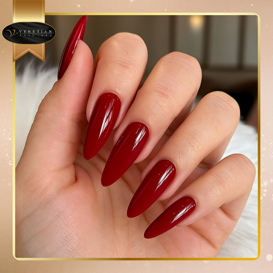 Venetian Nail Spa in Wesley Chapel, FL 33543